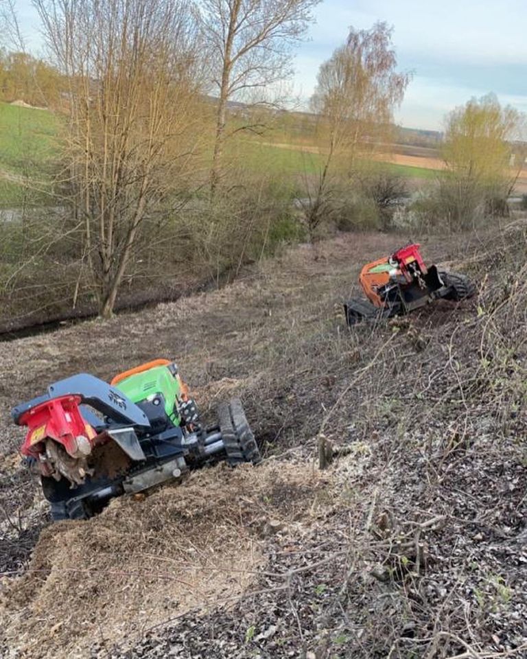 Forstmulchen Förderfähig Rodungen in Mengkofen