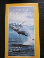 National Geographic,  Giganten der Meere: Wale, VHS Berlin - Lichtenberg Vorschau