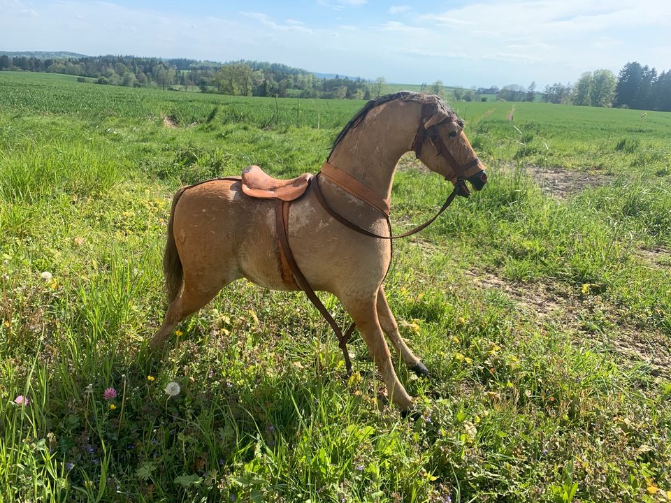 Opas Schaukelpferd in Stockach