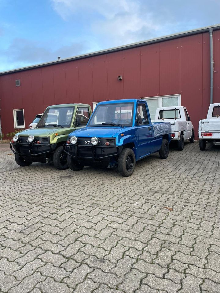 Elektro Pickup Pickman Pritsche Transporter Lighttruck Kaiyun Frosch Light TRUCK ARI Ladefläche 4 Rad 4-Rad XR FX Classic Stormborn Geco Futura Elekrofrosch Bob Transporter Travel Piaggio Porter MEGA in Waren (Müritz)