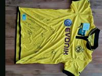 BvB T-Shirt Original  Größe L Sachsen - Hohndorf Vorschau