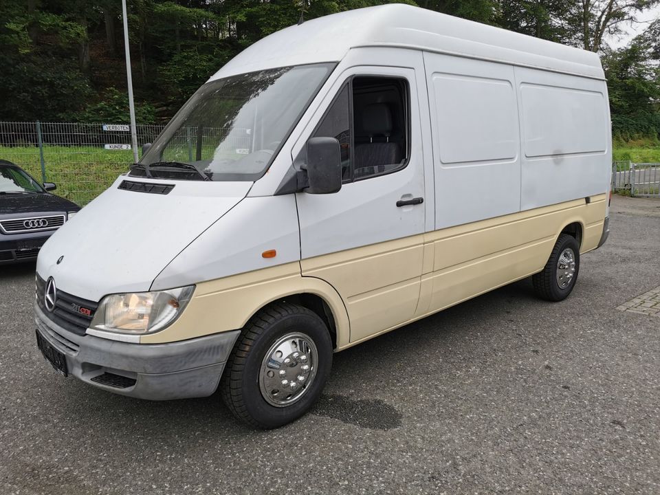 Leihwagen Mietwagen Bus Sprinter Transporter Mietfahrzeug in Selters