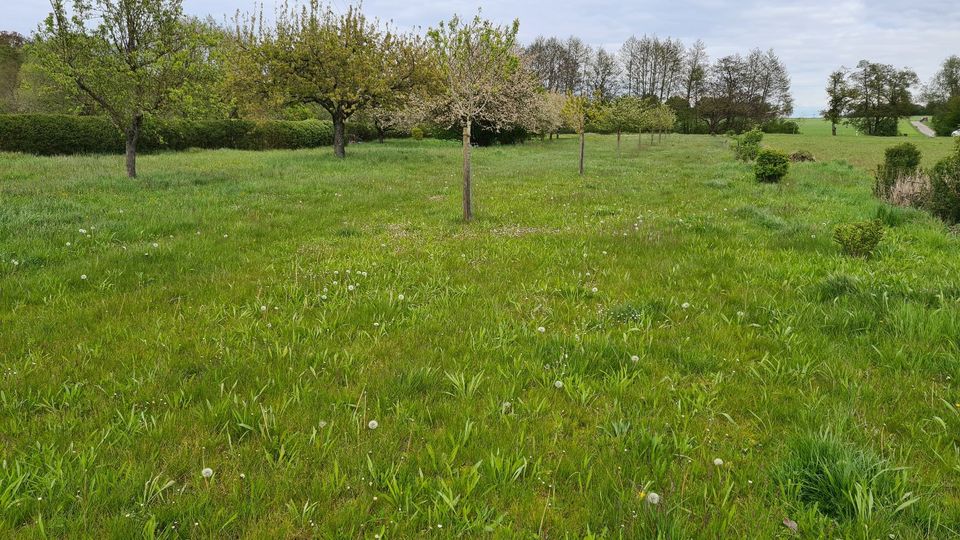 Freizeitgrundstück / Gartengrundstück in Ötisheim