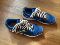 Puma Hallenturnschuhe Gr. 41 Rheinland-Pfalz - Lambsheim Vorschau