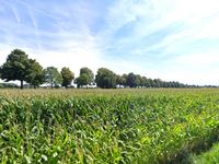 Ackerfläche von ca. 5 ha in Voerde (Niederrhein) Nordrhein-Westfalen - Voerde (Niederrhein) Vorschau