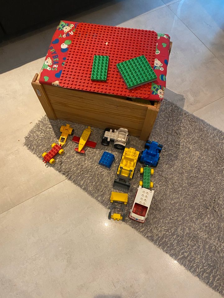 Duplo Lego Holzkiste in Höhfröschen