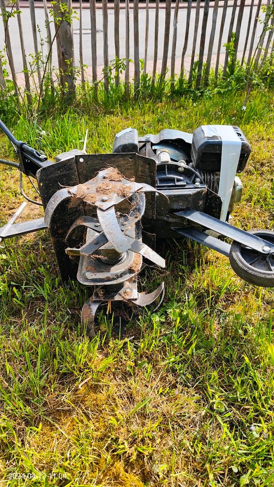 Gartenfräse, Gartenmoped, keine Hako in Bodenheim