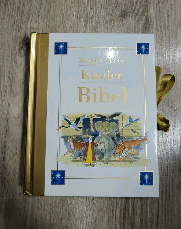 Buch Meine erste Kinderbibel Kinder Bibel Neuwertig in Offenbach