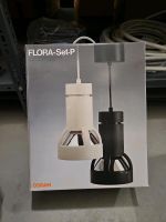 Osram Flora-Set-P Lampe Nordrhein-Westfalen - Herne Vorschau