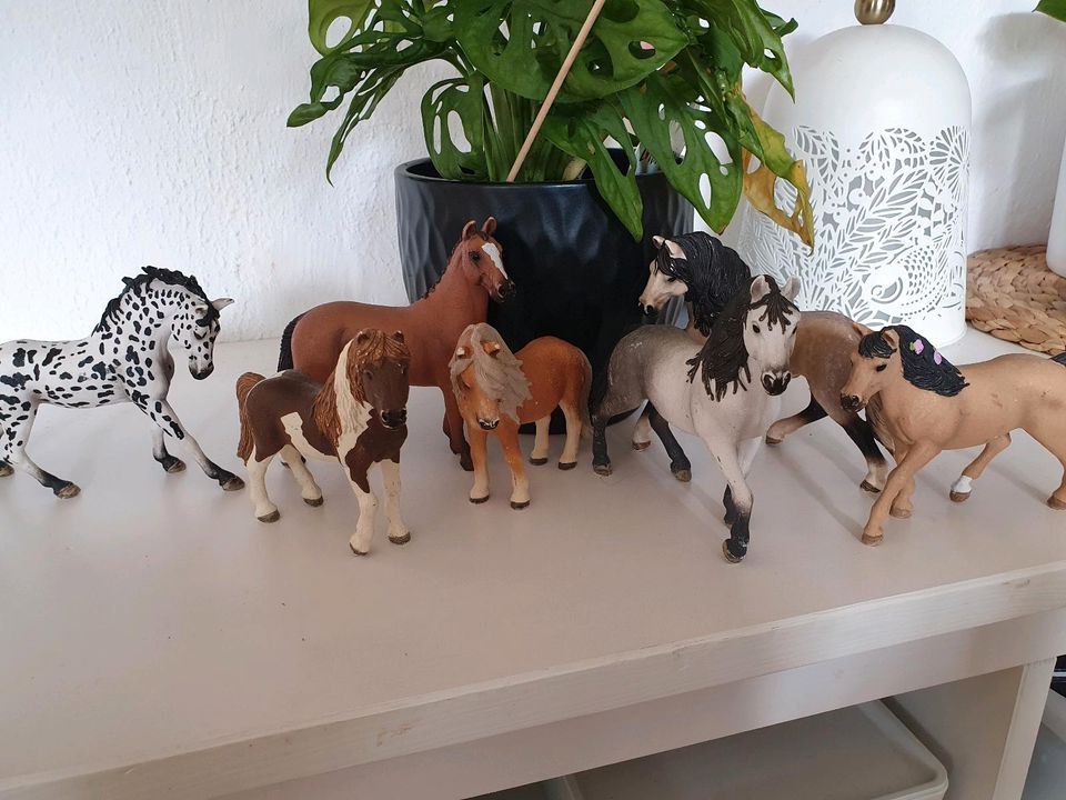 7 Schleich Pferde, bespielt in Lehrte