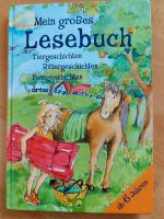 Lesebuch Tiere Ritter Feen ab 6 Jahren Hessen - Hirschhorn (Neckar) Vorschau