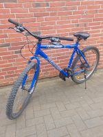 Fahrrad 26 Zoll Nordfriesland - Horstedt bei Husum, Nordsee Vorschau