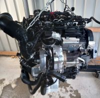 Motor Komplett 2.0TDI CFG CFGA 59.000KM 1 Jahr Garantie Stuttgart - Vaihingen Vorschau