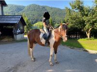 Suche Reitbeteiligung(Mensch sucht Pferd) Nordrhein-Westfalen - Kempen Vorschau