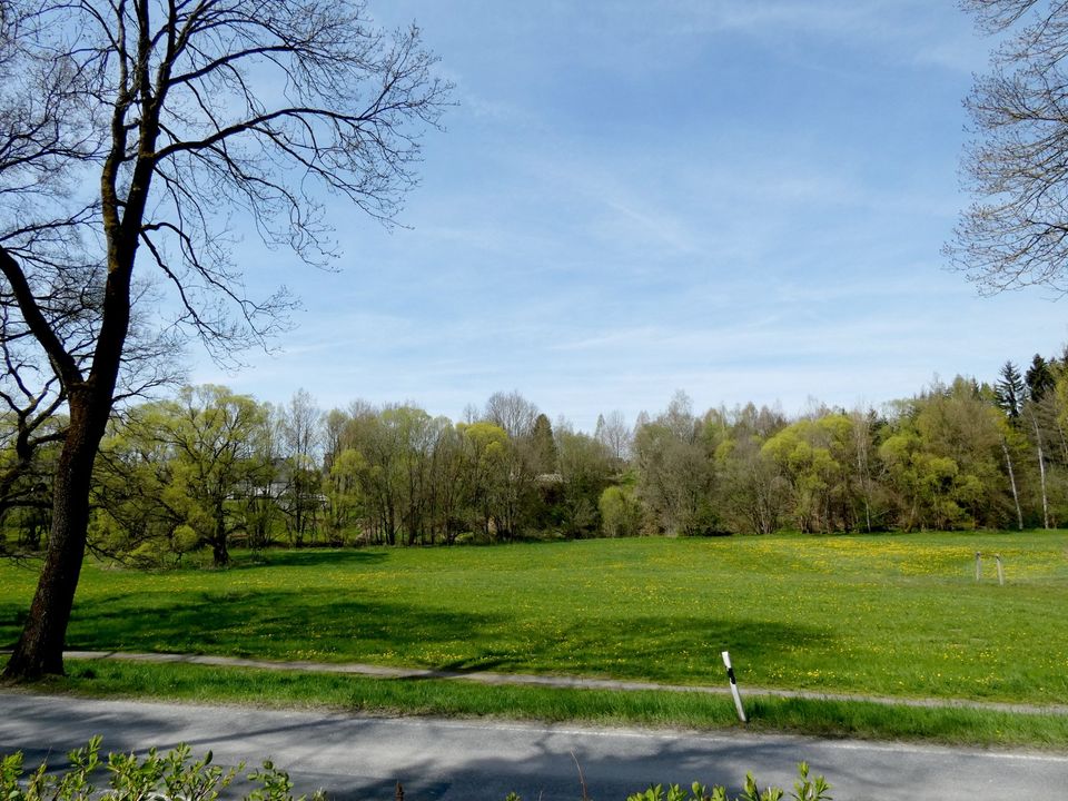 Schöne, teilsanierte Gründerzeit - Villa mit Wintergarten & Dachterrasse auf 2.868 m² großem Grundstück in Schlettau in Schlettau