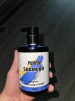 Silbershampoo Sachsen - Riesa Vorschau