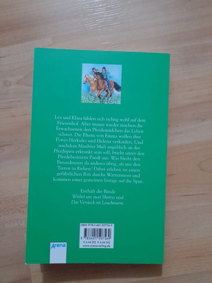 Kinderbuch Mädchen Buch Geschichte Pferdebuch in Kempten