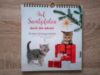 Adventskalender mit 24 Katzengeschichten Dresden - Cotta Vorschau