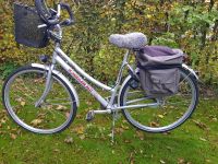 Fahrrad Damenfahrrad Kreidler Alu 28 Zoll 7 Gangschaltung Niedersachsen - Löningen Vorschau