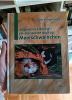 Artgerechte Haltung - Ein Grundrecht auch für Meerschweinchen Münster (Westfalen) - Sentrup Vorschau