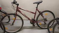 Mifa Fahrrad 26 Zoll MTB Weinrot Dresden - Leubnitz-Neuostra Vorschau