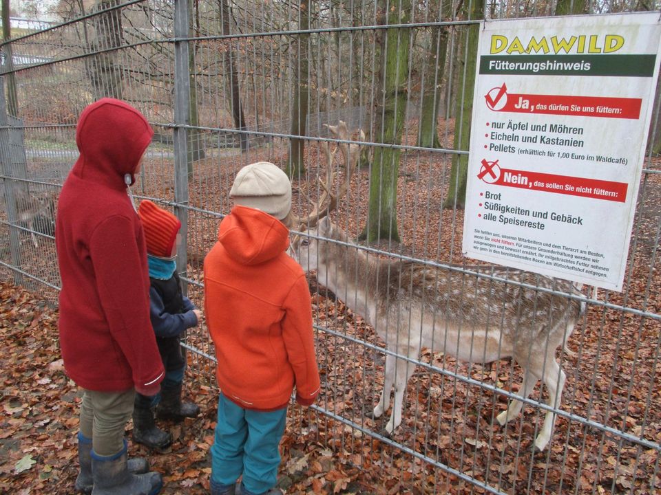 Urlaub auf dem Bauernhof, Ferienwohnungen, DenkmalHof in Hohenleuben