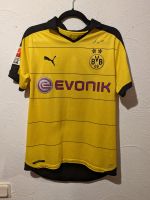 Borussia Dortmund BVB Trikot Gonzalo Castro Hessen - Melsungen Vorschau