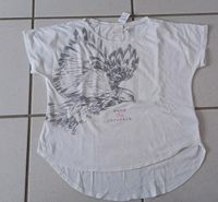 T-Shirt 146/152 H&M Nordrhein-Westfalen - Kreuztal Vorschau