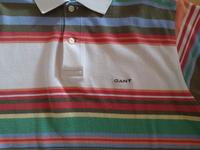 Gant Summer Polo Shirt  bunt gestreift M Niedersachsen - Wunstorf Vorschau