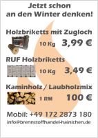 10Kg Holzbrikett ab 3,49€ Sachsen - Hainichen Vorschau