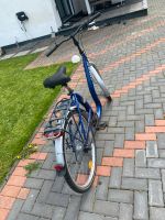 Damen Fahrrad Nordrhein-Westfalen - Erftstadt Vorschau
