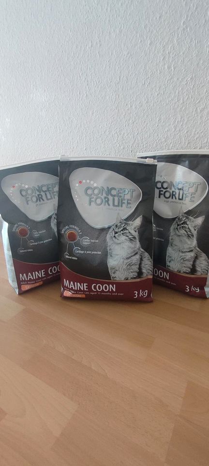 Maine Coon Futter 8kg in Ludwigslust