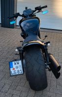 Harley Davidson Night Rod Rheinland-Pfalz - Westerburg Vorschau