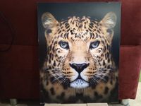 Wandbild Tiger ca. 50 x 40 cm Bayern - Gerbrunn Vorschau