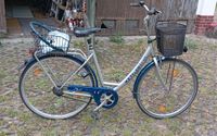 Kettler Fahrrad City Cruiser 5 Gänge als Stadtrad für einige Tage Berlin - Pankow Vorschau