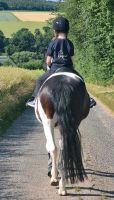 Reitunterricht / Ponyreiten Hessen - Neukirchen Vorschau