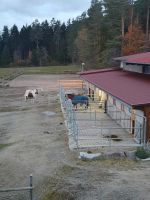 Freie Pferdebox Baden-Württemberg - Niedereschach Vorschau