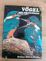 Buch / Bildband Vögel Baden-Württemberg - Aidlingen Vorschau