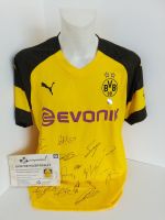 BVB Trikot 18/19 Teamsigniert Borussia Dortmund Autogramm Puma XL Nordrhein-Westfalen - Lünen Vorschau