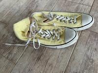 Converse Chucks Größe 43 Schleswig-Holstein - Tetenhusen Vorschau