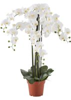 Kunstblume XXL Orchidee 1,15m Nordrhein-Westfalen - Gladbeck Vorschau