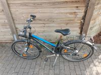 Fahrrad 24 Zoll Boomer 7 Gang Nabenschaltung tiefer Einstieg Baden-Württemberg - Mannheim Vorschau