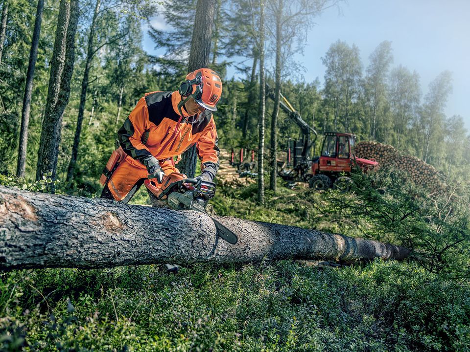 Husqvarna Profi Benzin Motorsäge 560 XP® (15") Set inkl. 4 Ketten in Clausthal-Zellerfeld