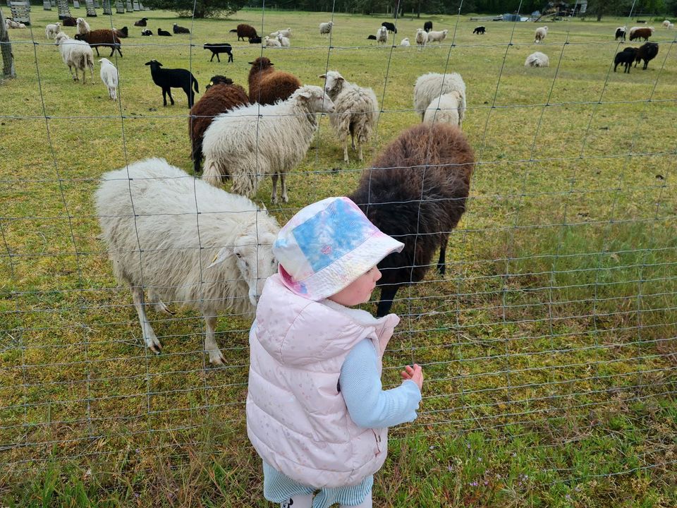 Kindertagespflege/ Tagesmutter freie Plätze in Kloster Lehnin