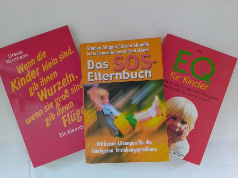 3x Erziehungs-Ratgeber Elternbuch Kinder Mütter NEU in Odenbach