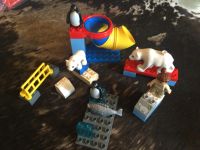 Lego Duplo Polargehege im Zoo Eisbären Pinguine Fisch Bayern - Schnaitsee Vorschau