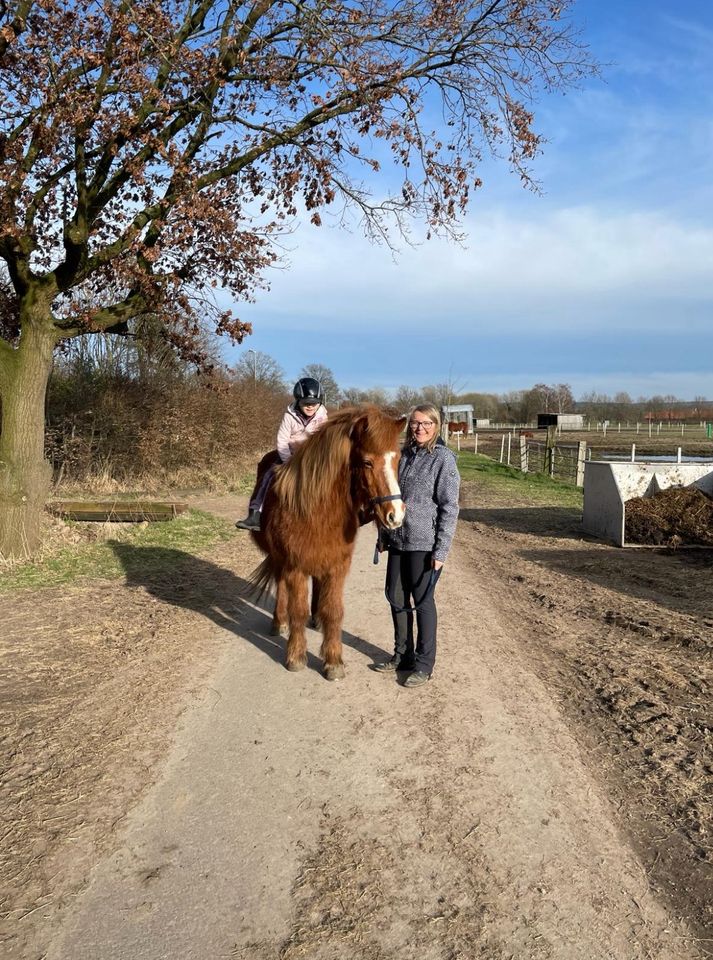 Toller Isländer in Jork