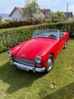 Austin Healey Baden-Württemberg - Bodman-Ludwigshafen Vorschau