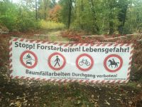 Holzernte Forstarbeit Waldarbeit Fällung Nordrhein-Westfalen - Telgte Vorschau