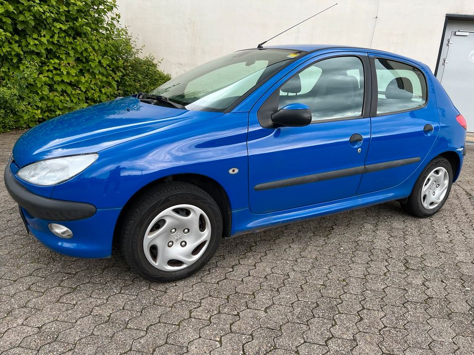 Peugeot 206 Klimaanlage in Neunkirchen